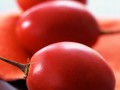 吃番茄的禁忌是什么 空腹时不宜食用未成熟的也不能吃