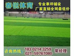 芜湖足球场人造草皮价格是多少