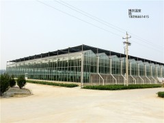 玻璃温室，连栋智能玻璃温室，阳光板温室专业建造