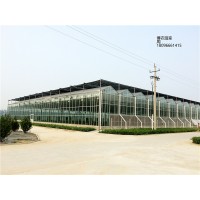 玻璃温室，连栋智能玻璃温室，阳光板温室专业建造