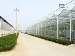 安徽玻璃温室，连栋智能玻璃温室，阳光板温室专业建造
