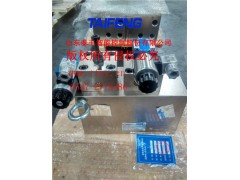 生产销售泰丰YN32-100FBCV系列油路块