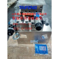 生产销售泰丰YN32-100FBCV系列油路块