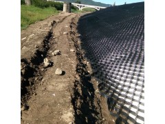 蜂巢约束系统绿化护坡 稳固路基土工格室河道治理